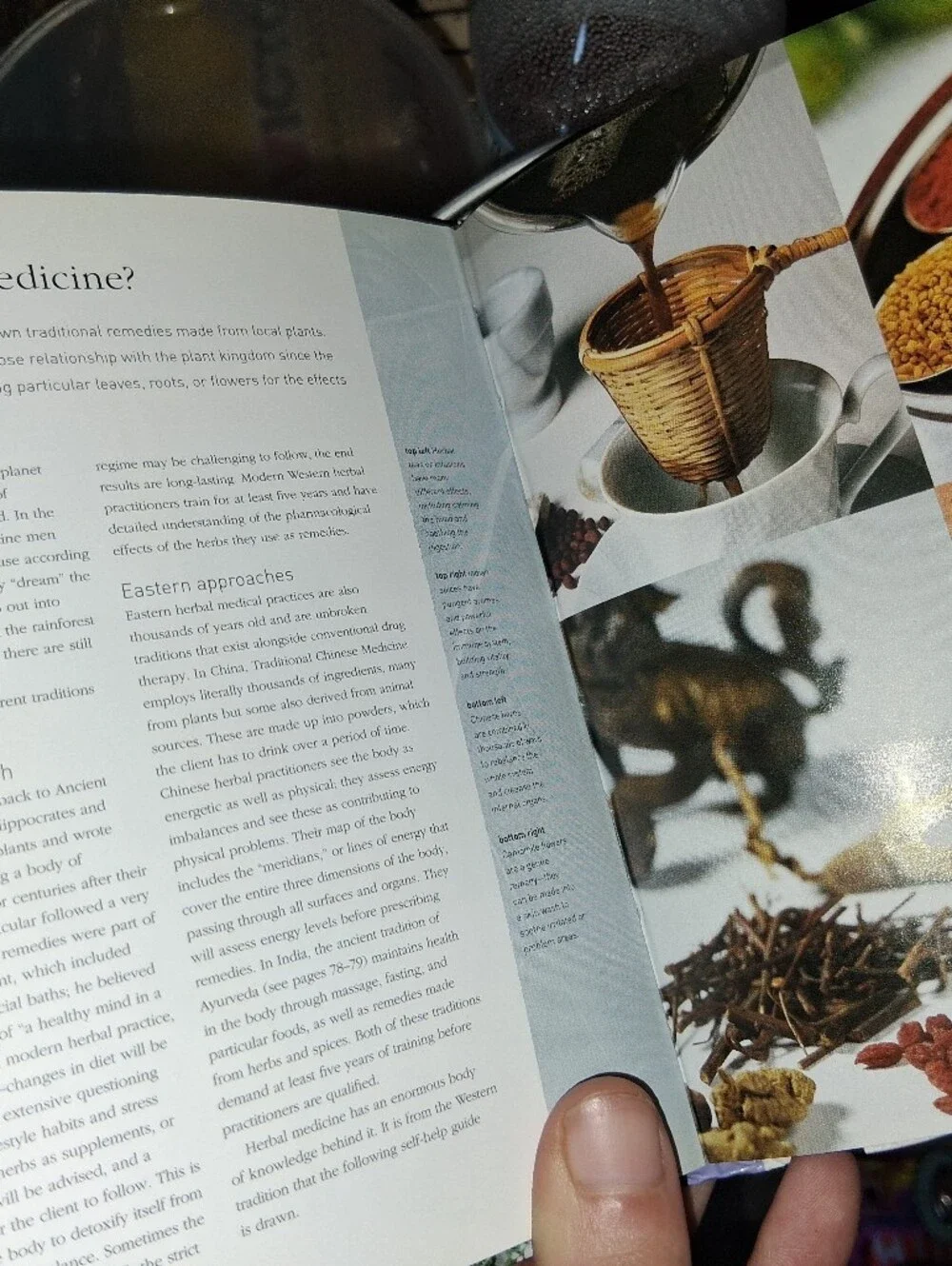 the herb bible herb bible